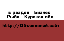  в раздел : Бизнес » Рыба . Курская обл.